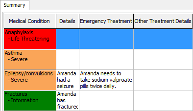 Summary tab grid area (Medical Maintenance, cut-down)