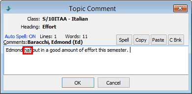 Topic Comment window (spelling example)